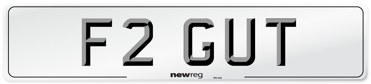 F2 GUT Number Plate from New Reg